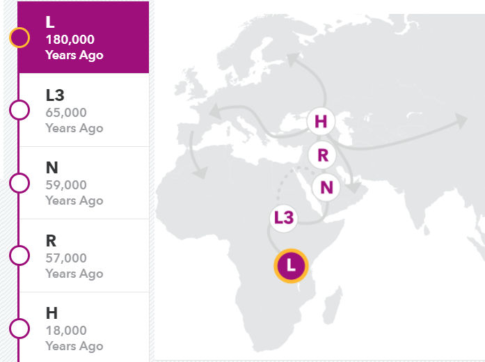 Haplogroup L, 23andme.com screenshot.
