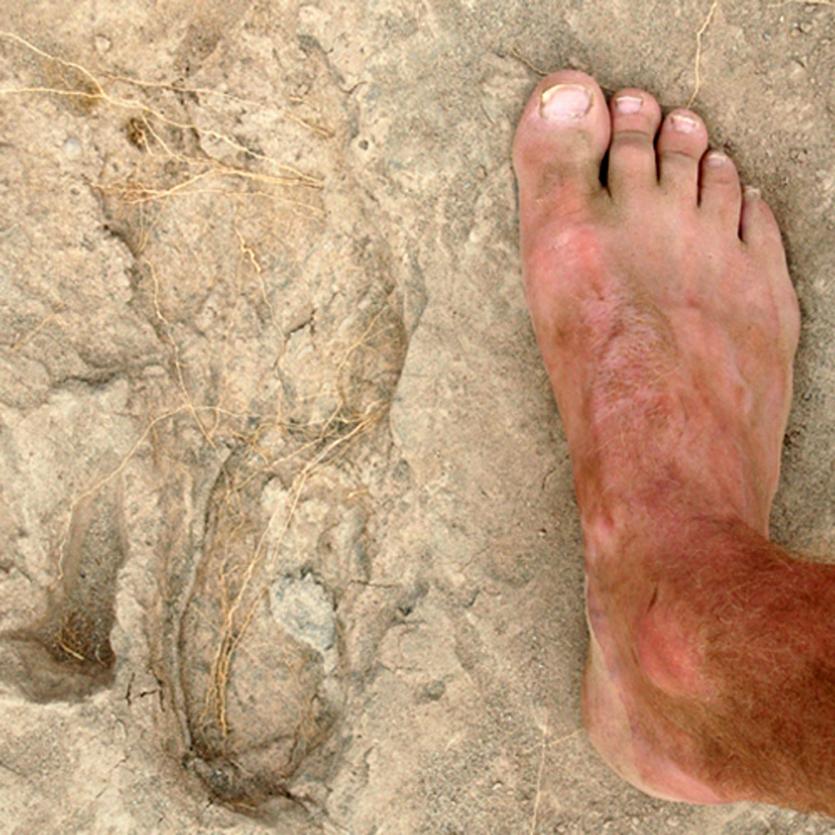 Oldest Modern Human-like Footprints