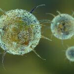 pathogen virus background