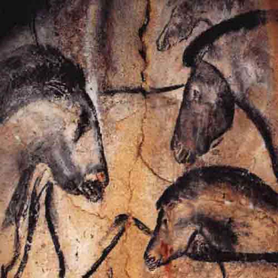 Chauvet Cave Paintings