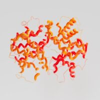 a group of orange and red objects floating in the air